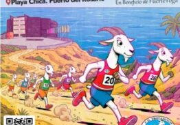 CARRERA POPULAR Y SOLIDARIA C.D. TROTADUNAS