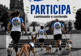 TEGUICAN RUNNING